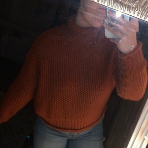 Semi cropped turtleneck sweater
